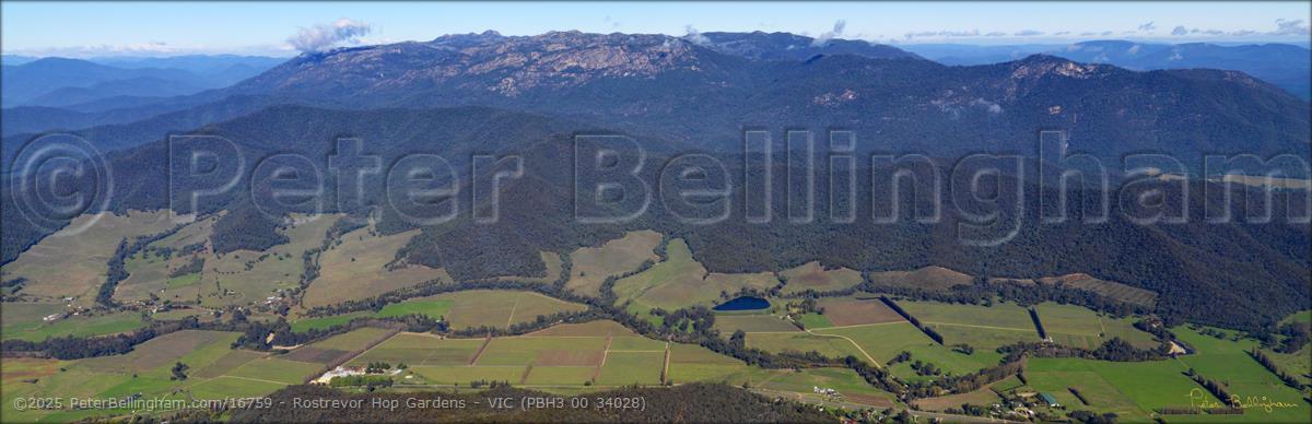 Peter Bellingham Photography Rostrevor Hop Gardens - VIC (PBH3 00 34028)